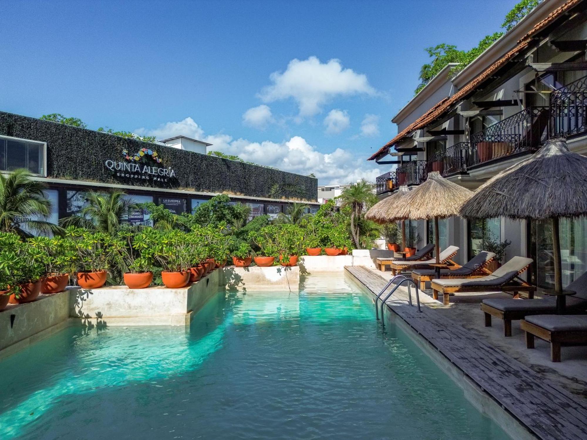 Caribbean Paradise Hotel & Spa - 5Th Avenue ปลายาเดลการ์เมน ภายนอก รูปภาพ