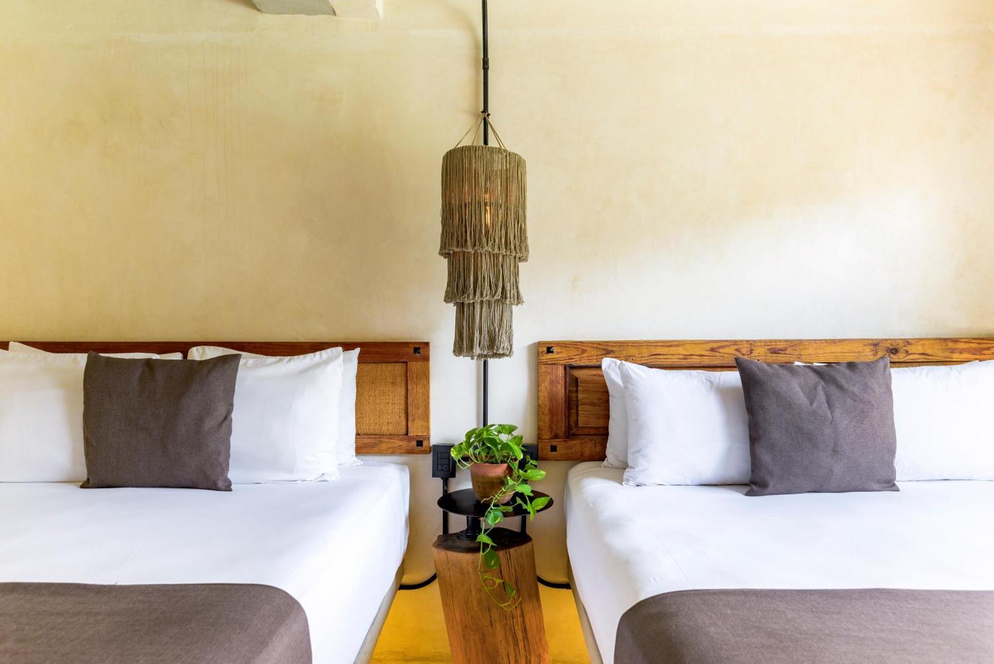 Caribbean Paradise Hotel & Spa - 5Th Avenue ปลายาเดลการ์เมน ภายนอก รูปภาพ